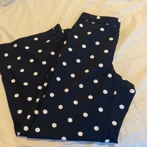 Navy Flared Dress Pants with White Polka Dots